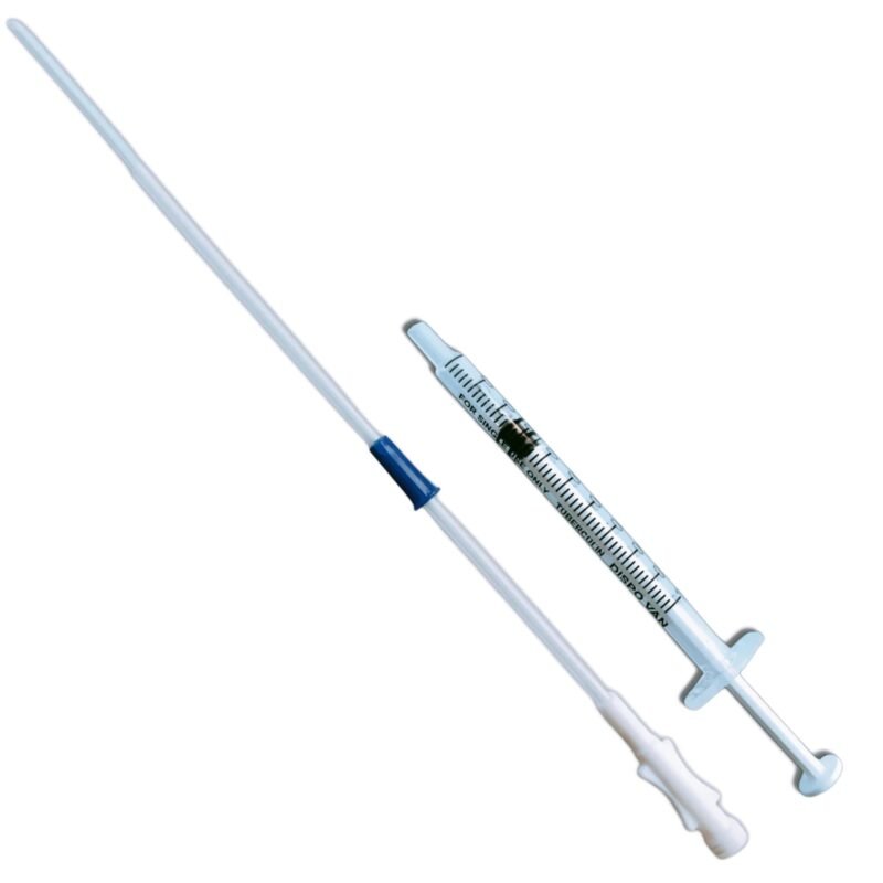 iui cannula with syringe